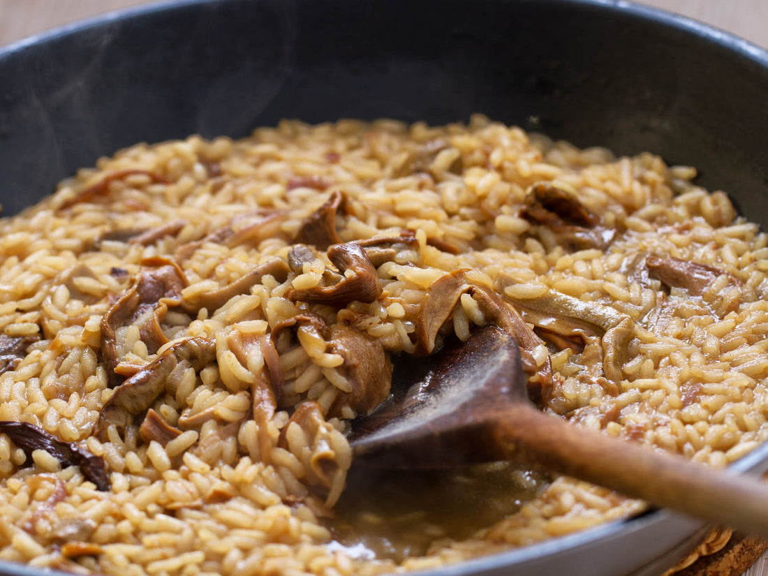 Chardonnay + Creamy Mushroom Risotto